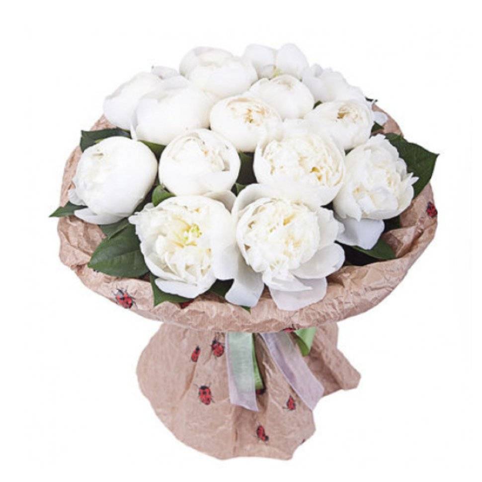 Букет Белые пионы с доставкой в Учалах — Фло-Алло.Ру, свежие цветы с  бесплатной доставкой